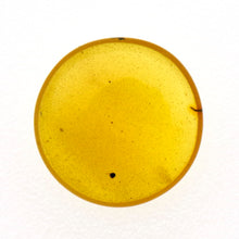 画像をギャラリービューアに読み込む, 久慈原産琥珀原石（研磨済）
