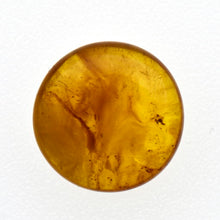 画像をギャラリービューアに読み込む, 久慈原産琥珀原石（研磨済）
