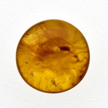 画像をギャラリービューアに読み込む, 久慈原産琥珀原石（研磨済）
