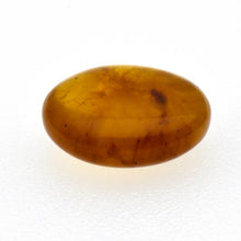 画像をギャラリービューアに読み込む, 久慈原産琥珀原石（研磨済）

