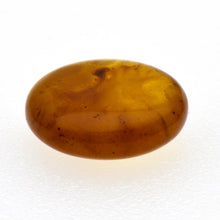 画像をギャラリービューアに読み込む, 久慈原産琥珀原石（研磨済）
