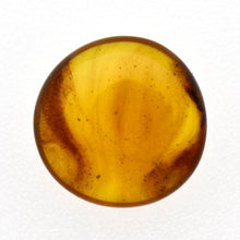 画像をギャラリービューアに読み込む, 久慈原産琥珀原石（研磨済）
