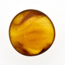 画像をギャラリービューアに読み込む, 久慈原産琥珀原石（研磨済）
