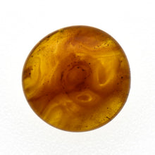 画像をギャラリービューアに読み込む, 久慈原産琥珀原石（研磨済）
