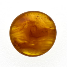 画像をギャラリービューアに読み込む, 久慈原産琥珀原石（研磨済）
