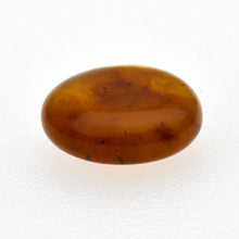 画像をギャラリービューアに読み込む, 久慈原産琥珀原石（研磨済）
