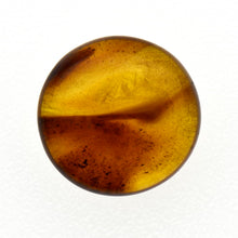 画像をギャラリービューアに読み込む, 久慈原産琥珀原石（研磨済）
