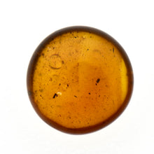 画像をギャラリービューアに読み込む, 久慈原産琥珀原石（研磨済）
