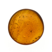 画像をギャラリービューアに読み込む, 久慈原産琥珀原石（研磨済）
