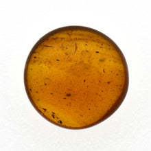 画像をギャラリービューアに読み込む, 久慈原産琥珀原石（研磨済）
