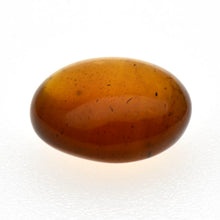 画像をギャラリービューアに読み込む, 久慈原産琥珀原石（研磨済）
