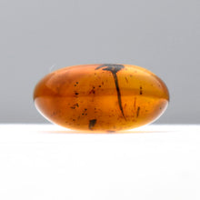 画像をギャラリービューアに読み込む, 久慈原産琥珀原石（研磨済）
