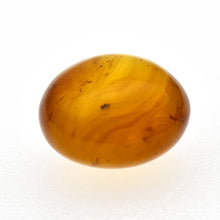 画像をギャラリービューアに読み込む, 久慈原産琥珀原石（研磨済）
