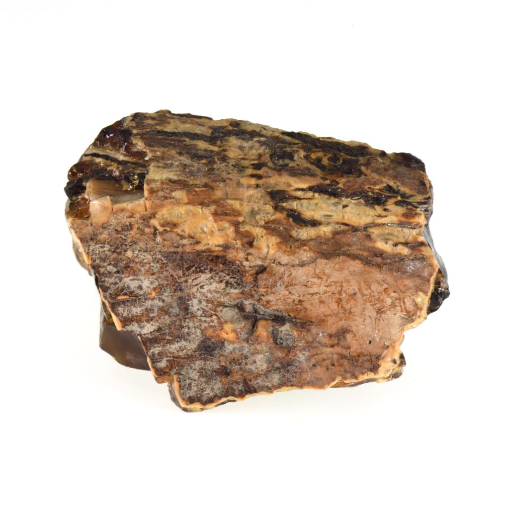 久慈原産琥珀原石（未研磨）