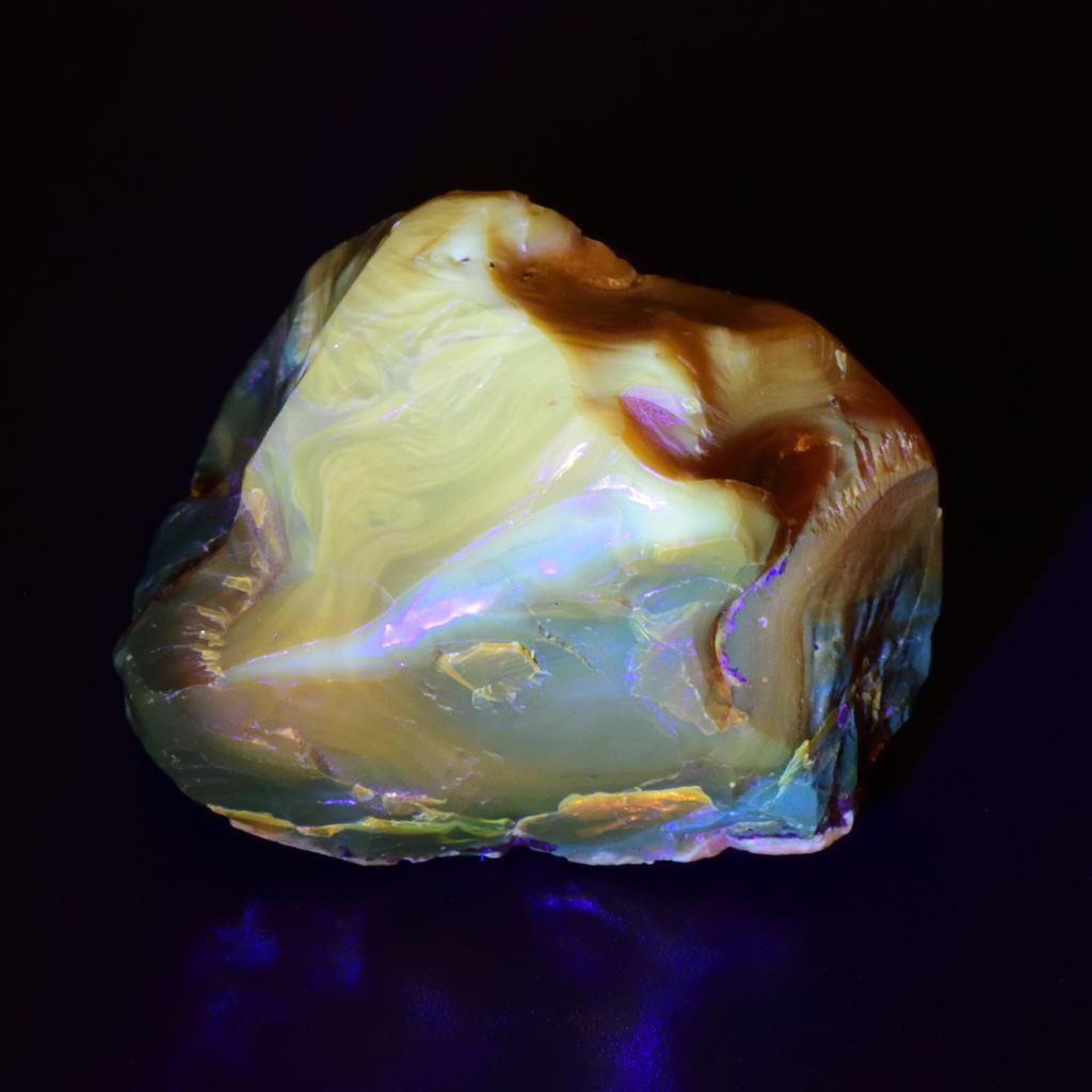 久慈原産琥珀原石（未研磨）